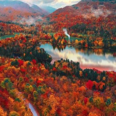 关于“开云电竞APP”下载手机版