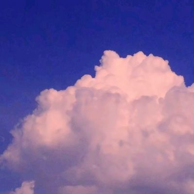 金年会体育APP下载官网