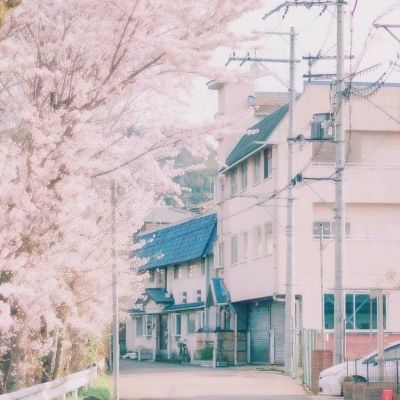 管家婆期期四肖四码中特管家