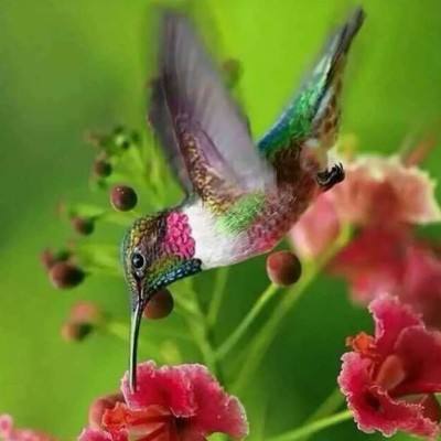 域网棋牌游戏下载手机版