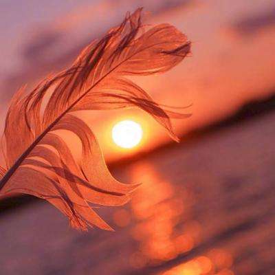 半岛官网入口网页版