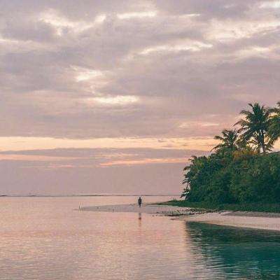 皇冠新体育app下载