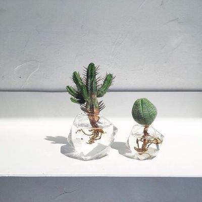 开开棋牌下载手机版