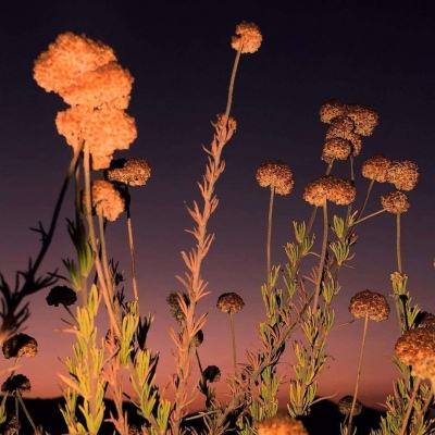 二人麻将手机app下载